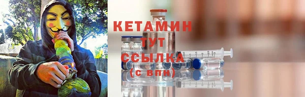 сатива Балахна