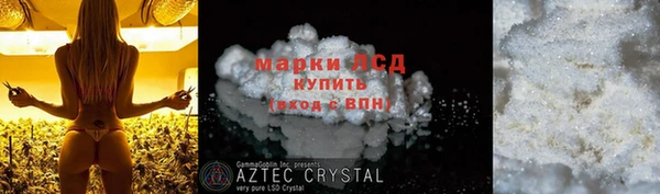 трава Аркадак