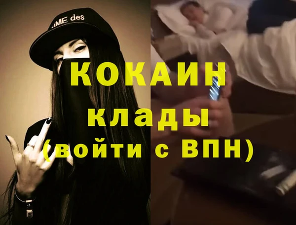 сатива Балахна