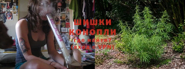 шишки Арсеньев
