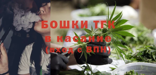 сатива Балахна