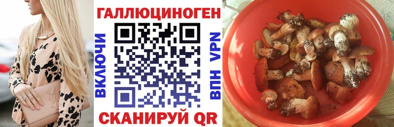 Галлюциногенные грибы ЛСД  Олонец 